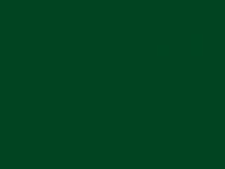 Tessuto di ricambio per Tenda color Verde in poliestere 6.0m x 3.0m